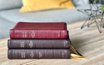 Bible Translations